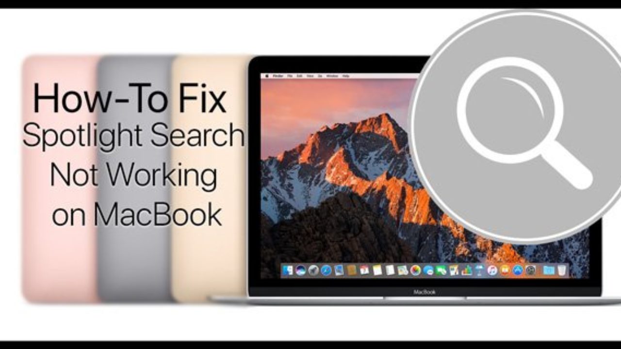 Mac spotlight not finding apps